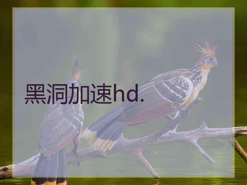 黑洞加速hd.