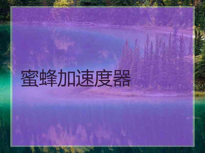 蜜蜂加速度器