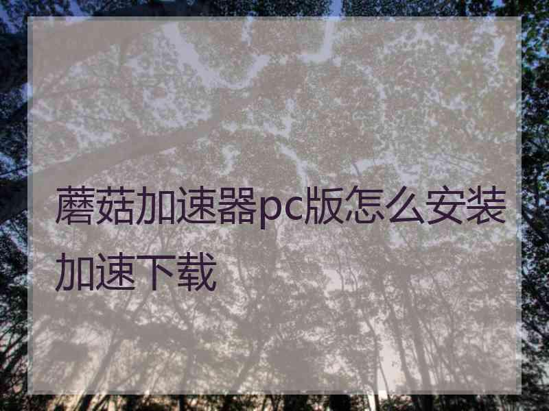 蘑菇加速器pc版怎么安装加速下载