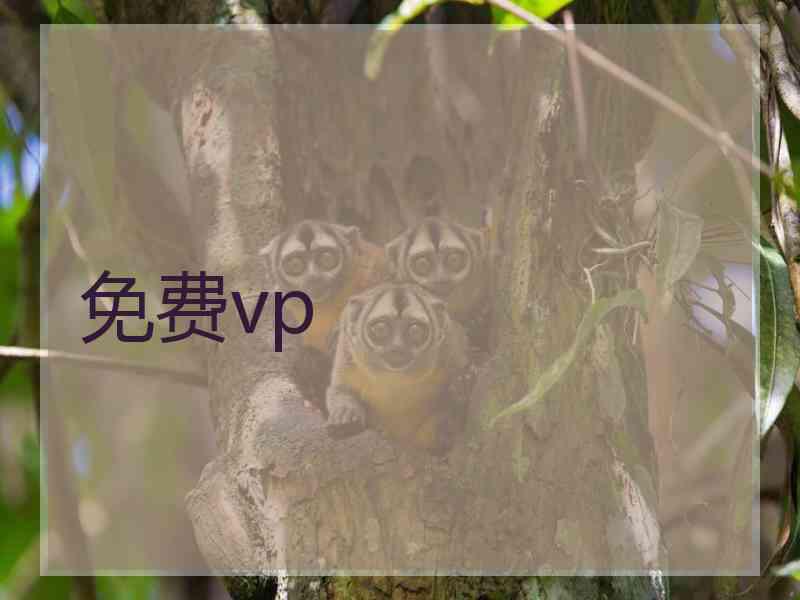 免费vp