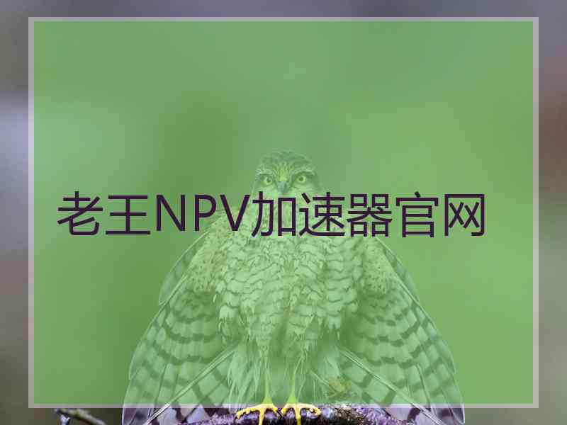 老王NPV加速器官网