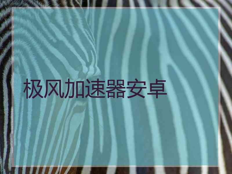 极风加速器安卓