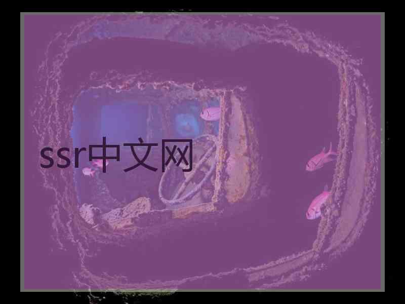 ssr中文网