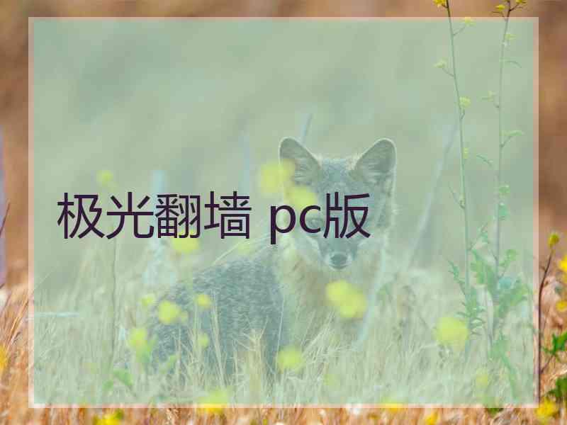 极光翻墙 pc版