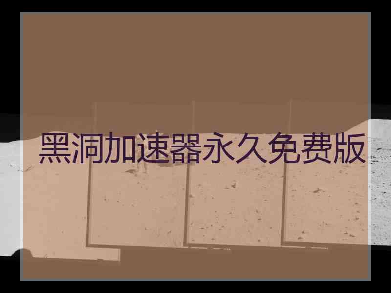 黑洞加速器永久免费版