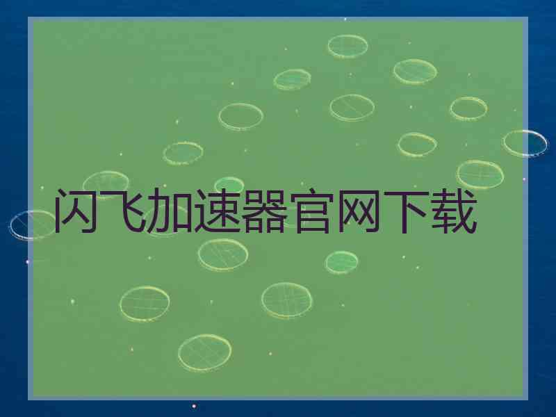 闪飞加速器官网下载
