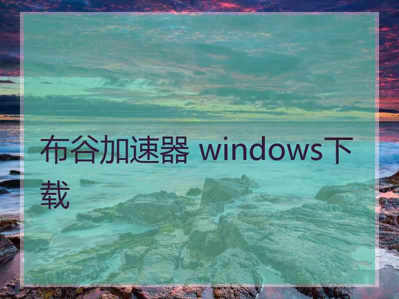 布谷加速器 windows下载