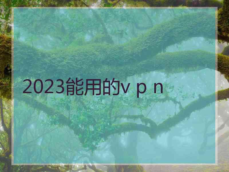 2023能用的v p n