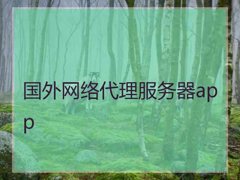 国外网络代理服务器app