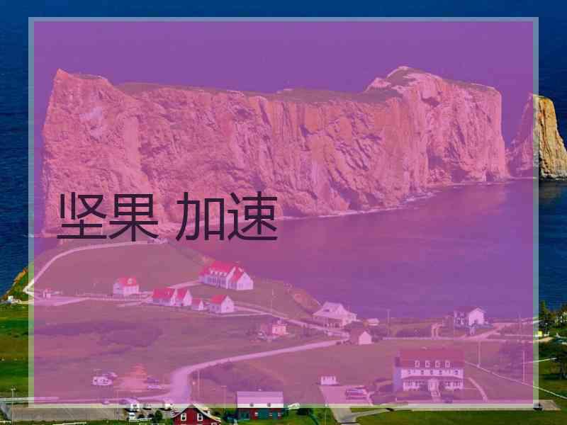坚果 加速