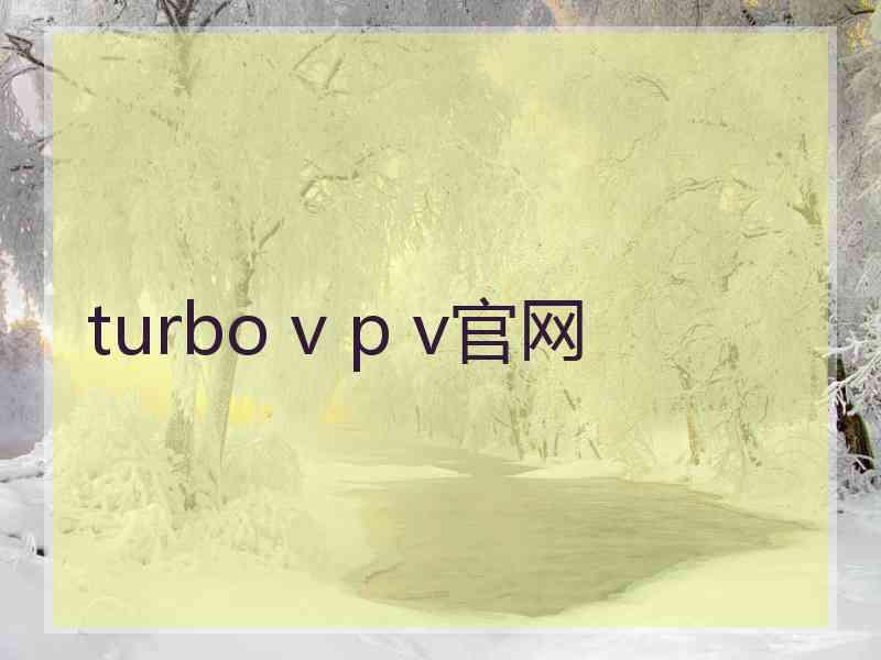 turbo v p v官网