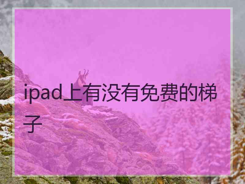 ipad上有没有免费的梯子