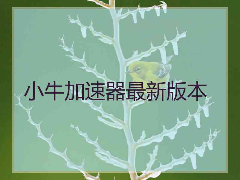 小牛加速器最新版本