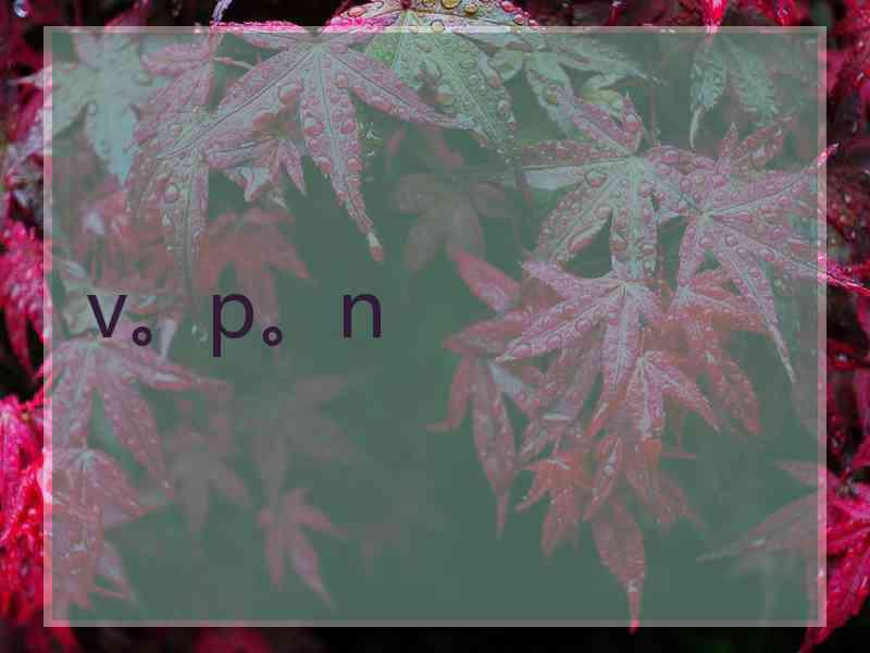 v。p。n