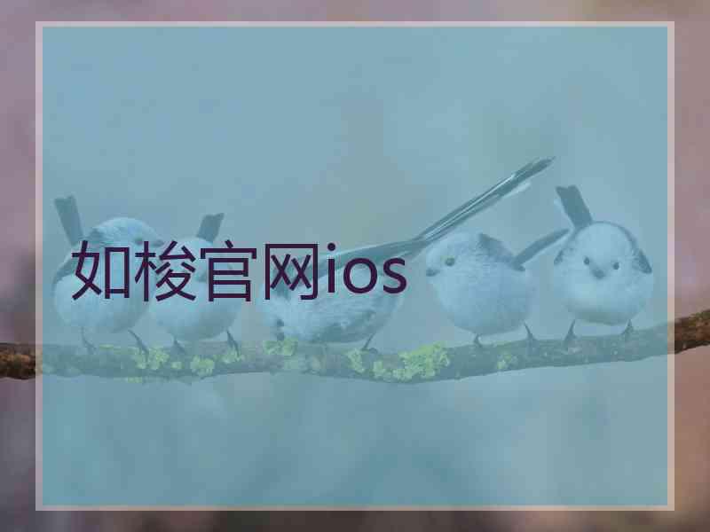 如梭官网ios