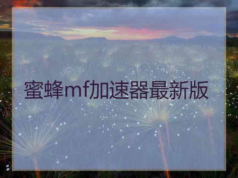 蜜蜂mf加速器最新版