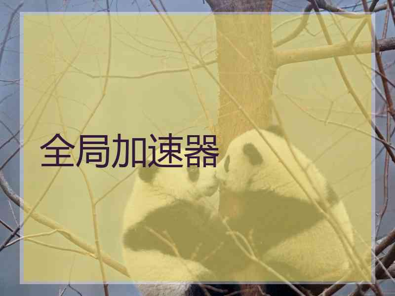 全局加速器