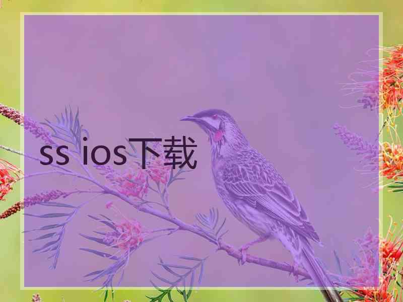 ss ios下载
