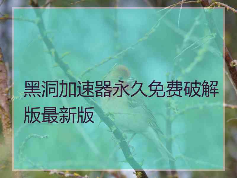 黑洞加速器永久免费破解版最新版