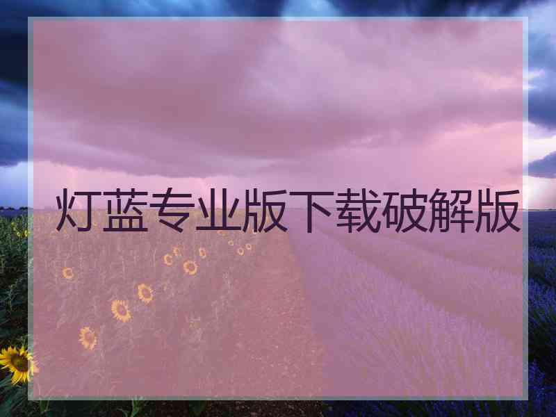 灯蓝专业版下载破解版
