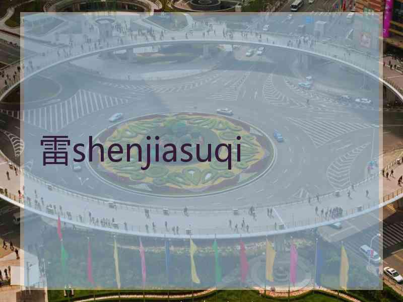 雷shenjiasuqi