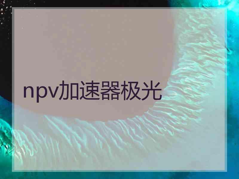 npv加速器极光