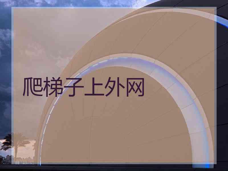 爬梯子上外网