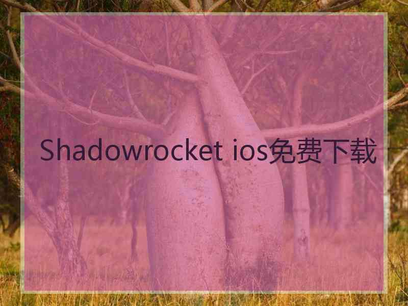 Shadowrocket ios免费下载