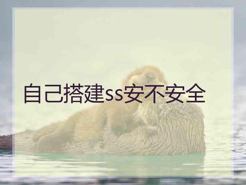 自己搭建ss安不安全