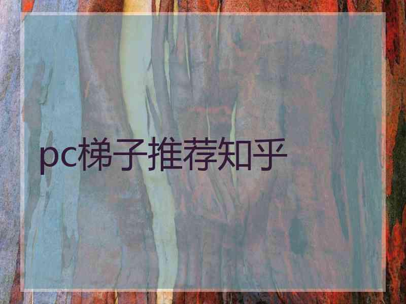 pc梯子推荐知乎