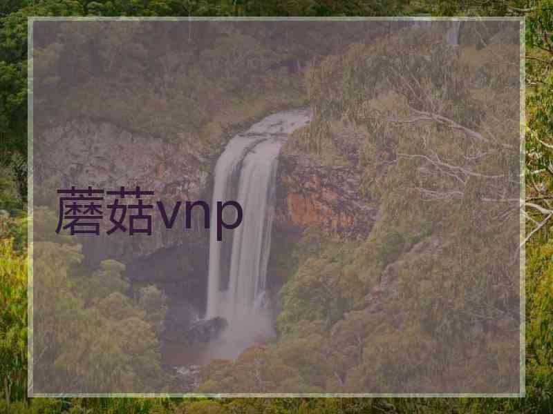 蘑菇vnp