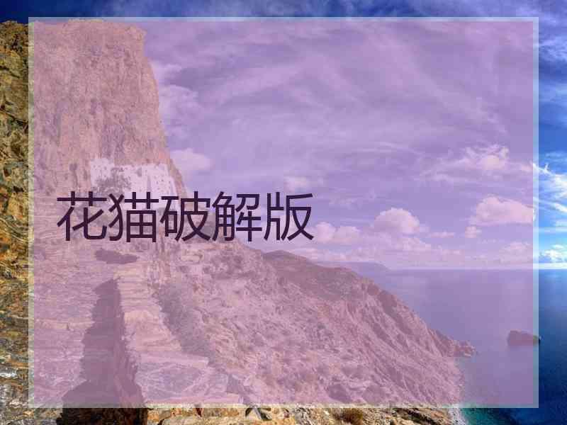 花猫破解版