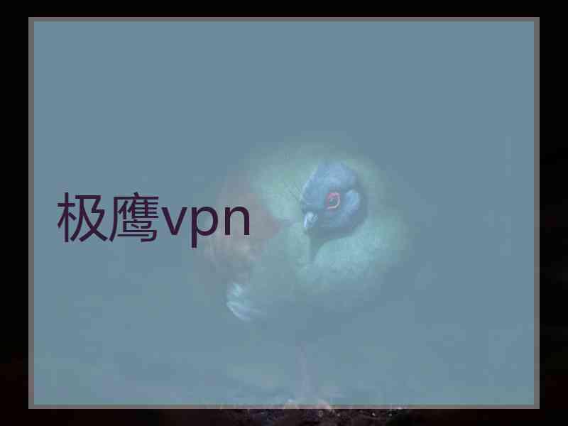 极鹰vpn