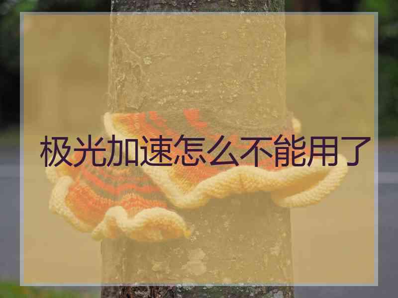 极光加速怎么不能用了