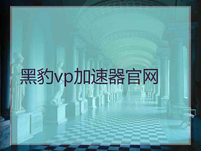 黑豹vp加速器官网