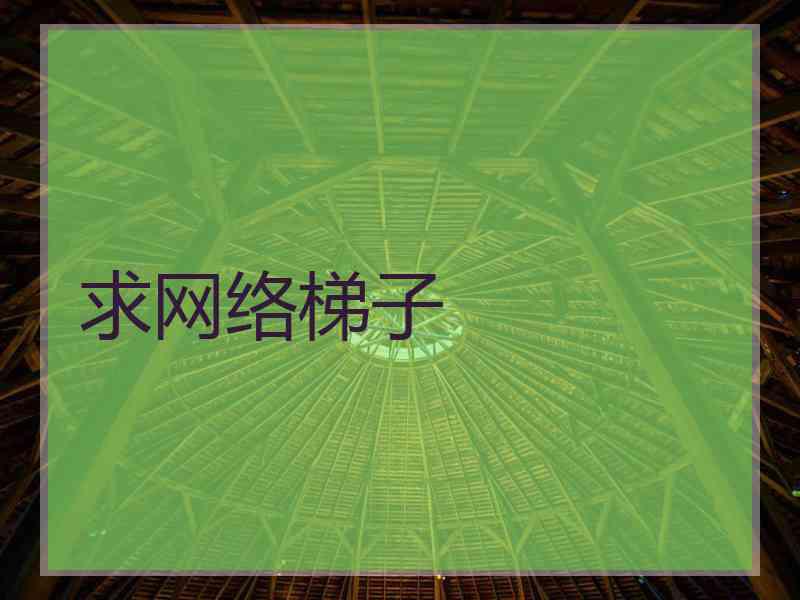 求网络梯子