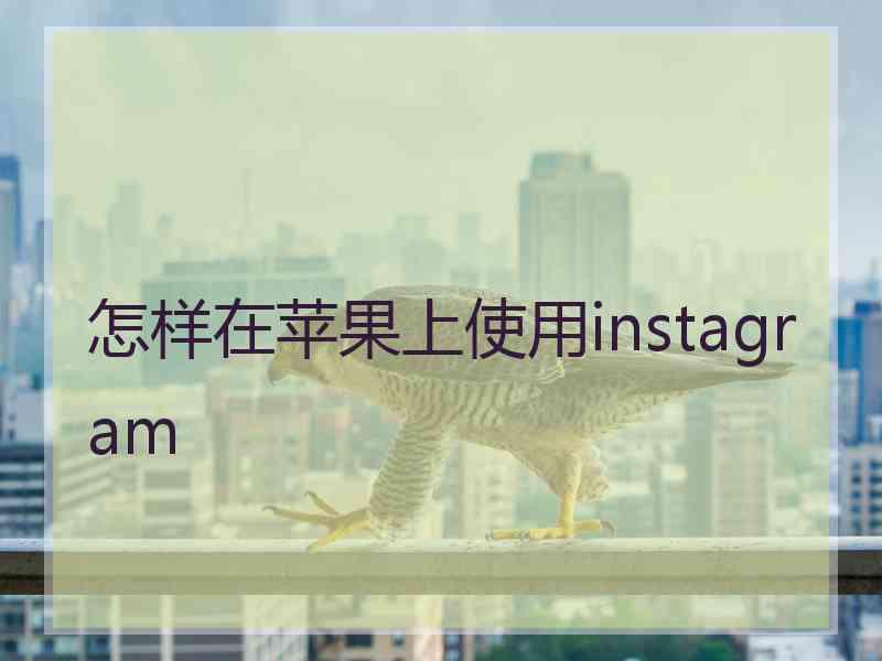 怎样在苹果上使用instagram