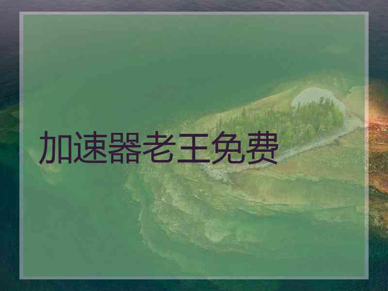 加速器老王免费