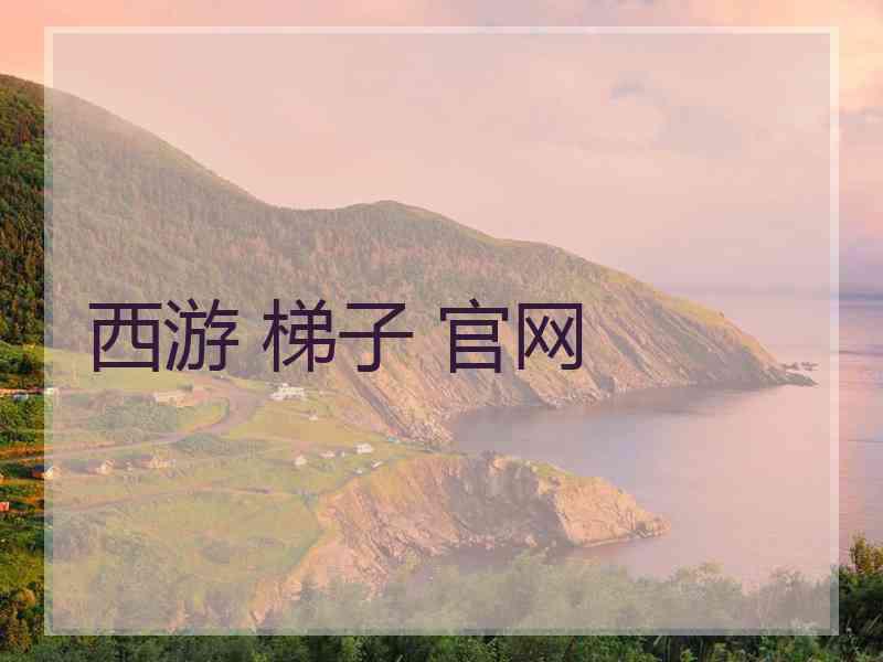 西游 梯子 官网