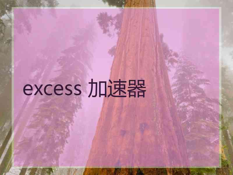 excess 加速器