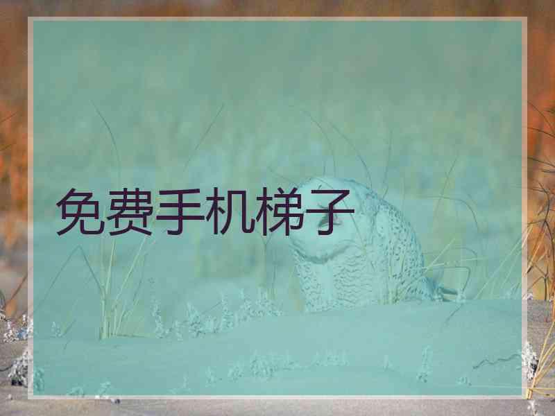 免费手机梯子