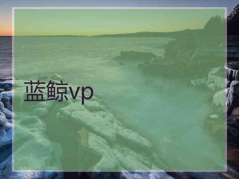 蓝鲸vp
