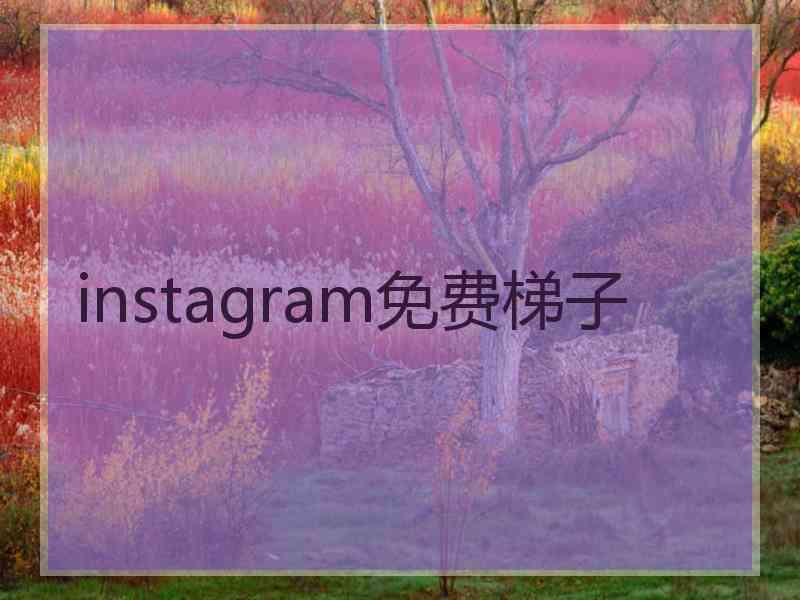 instagram免费梯子