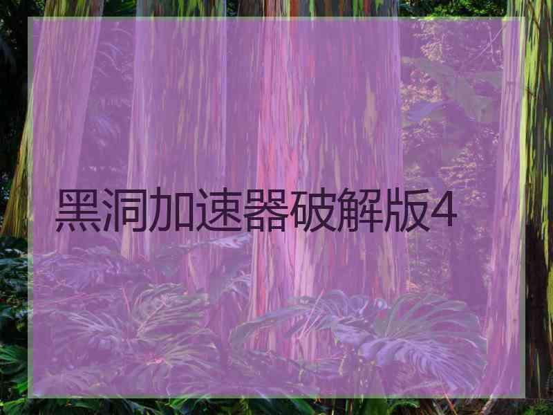 黑洞加速器破解版4