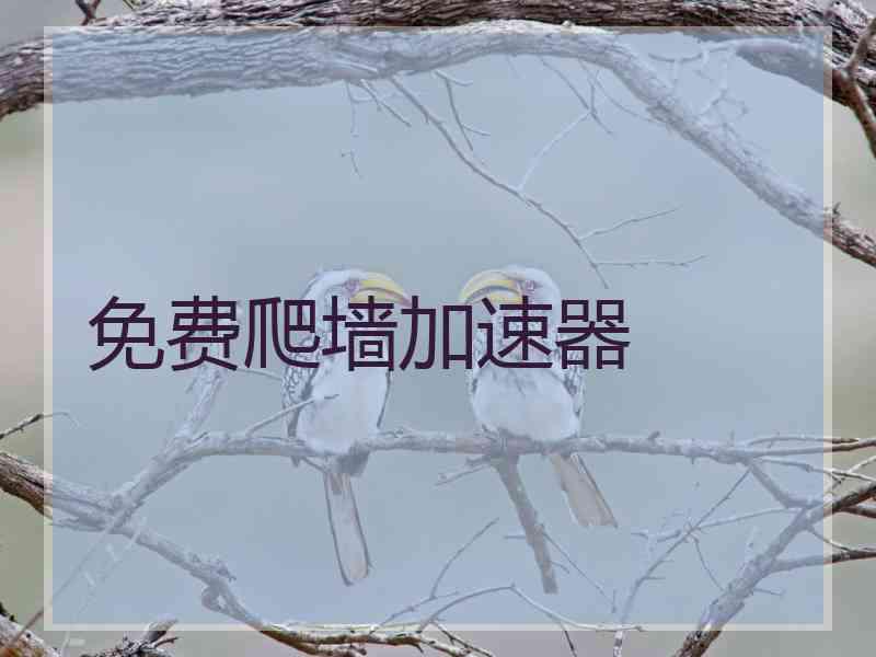 免费爬墙加速器