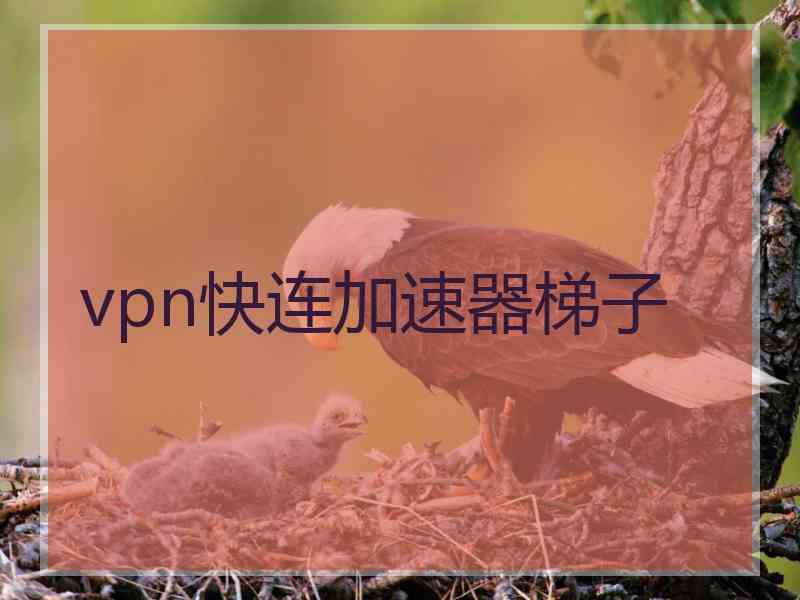 vpn快连加速器梯子