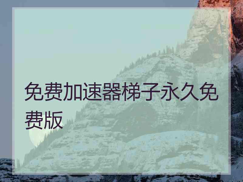 免费加速器梯子永久免费版