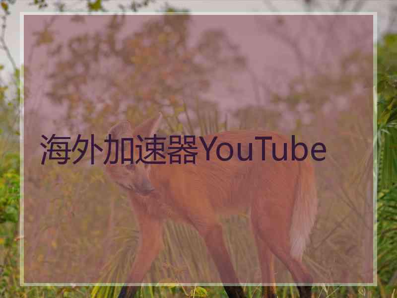 海外加速器YouTube