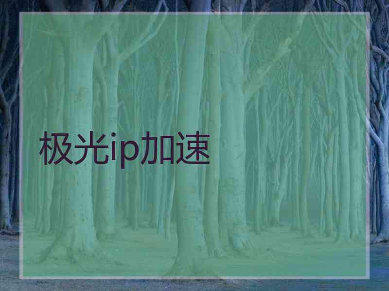 极光ip加速
