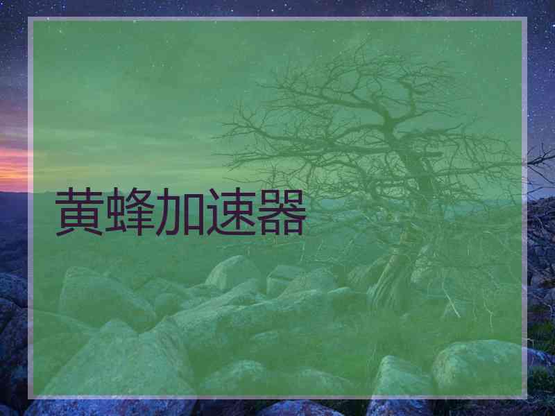 黄蜂加速器